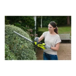 Ryobi Taille Haies Duo One+ 18v 45cm Rht1845 + Coupe-bordures 25cm Rlt1825m - 1 Batterie Lithium+ 2,0ah Et 1 Chargeur 1,7a -Jardin Luxueux Pas Cher Magasin 648b4ac5abed12.79164803