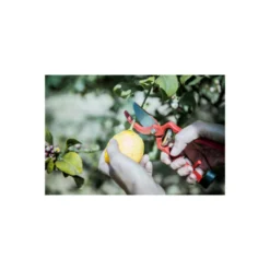 Sécateur à Main En Acier Bellota - 25mm - 350523 -Jardin Luxueux Pas Cher Magasin 648b4e431e6c58.16868914