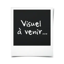 Batterie Gba 12v 3ah Bosch Professional 1600a00x79 -Jardin Luxueux Pas Cher Magasin 6494a4dfeec265.17165275