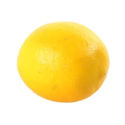 Citronnier X Meyer : AB C3L -Jardin Luxueux Pas Cher Magasin 697337 007