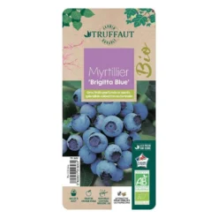 Myrtillier 'Brigitta Blue' Bio : Pot De 1,5 Litres -Jardin Luxueux Pas Cher Magasin 791603 003