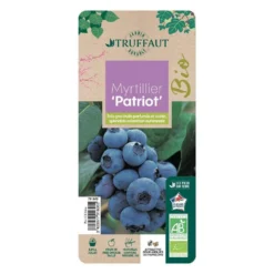 Myrtillier 'Patriot' Bio : Pot De 1,5 Litres -Jardin Luxueux Pas Cher Magasin 791605 005