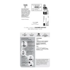 Groseillier à Grappes 'Jonkheer Van Tets' Bio: Pot 1,5 Litres -Jardin Luxueux Pas Cher Magasin 827044 1766998