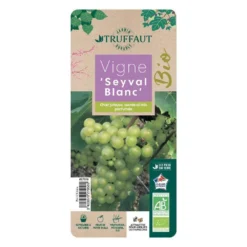 Vigne 'Seyval Blanc' AB - Pot 1,5 L -Jardin Luxueux Pas Cher Magasin 827056 002