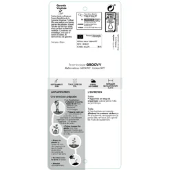 Framboisier Groovy®'Jdeboer005':pot 5L -Jardin Luxueux Pas Cher Magasin 831270 1432924