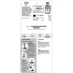 Figuier 'Madeleine Des 2 Saisons':pot 5L -Jardin Luxueux Pas Cher Magasin 831275 002