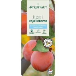 Kaki 'Rouge Brillant 1/2T Pot 15L -Jardin Luxueux Pas Cher Magasin 952752 002