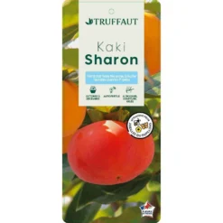 Kaki "Sharon" 1/2T Pot 15L -Jardin Luxueux Pas Cher Magasin 952753 003