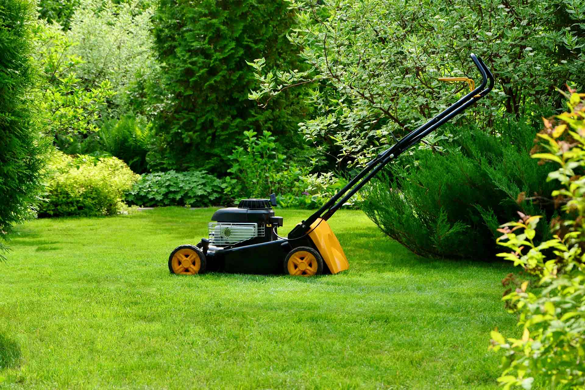 Jardin Luxueux Pas Cher Magasin -Jardin Luxueux Pas Cher Magasin Garden maintenance cost