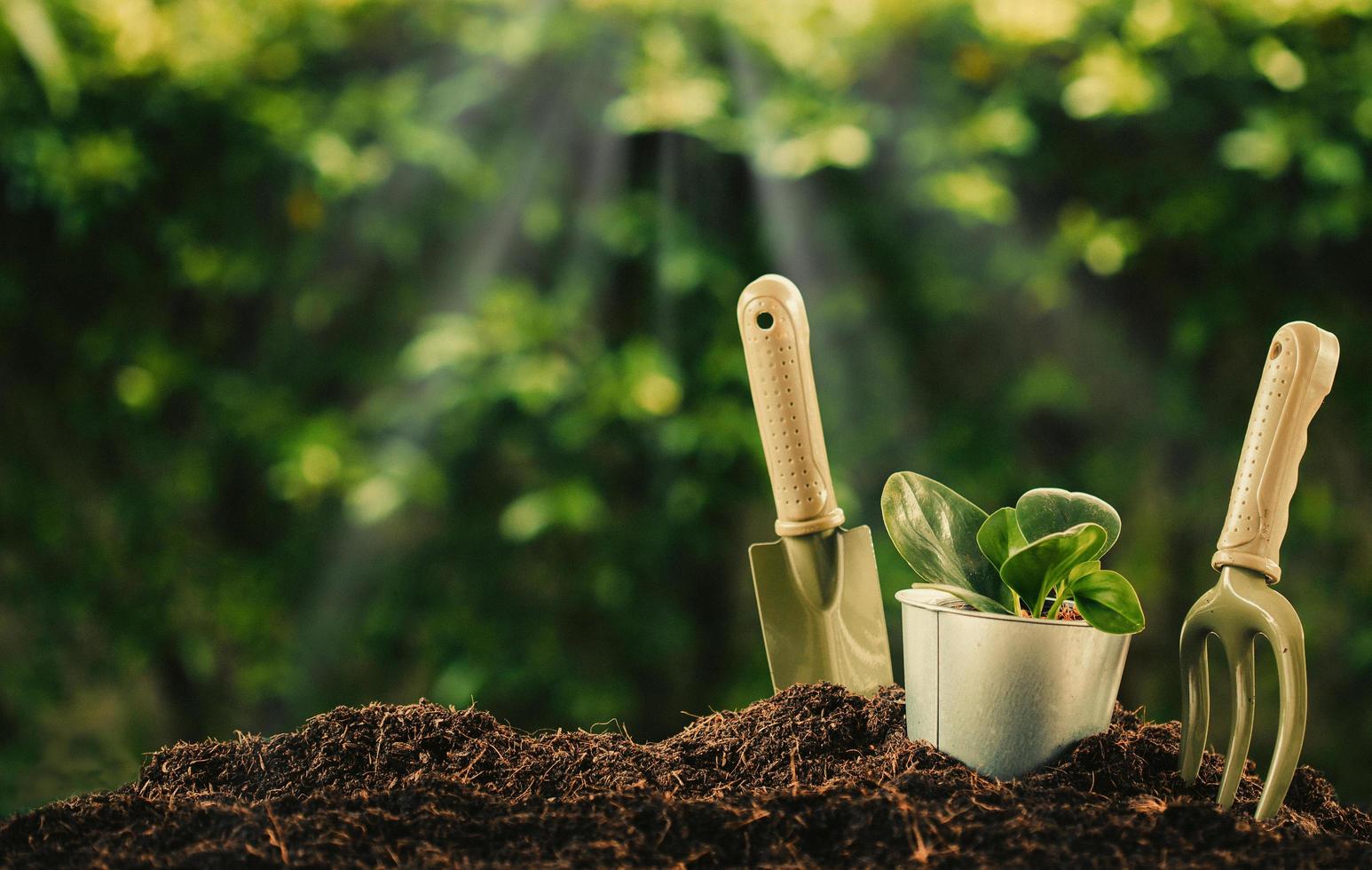 Jardin Luxueux Pas Cher Magasin -Jardin Luxueux Pas Cher Magasin planting a small plant on a pile of soil with gardening tools on green bokeh background free photo